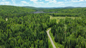Property photo for land for sale in Penobscot County Maine