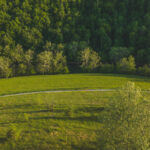Property photo for land for sale in Hancock County Tennessee