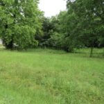 Property photo for land for sale in Bowie County Texas