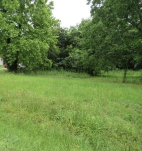 Property photo for land for sale in Bowie County Texas