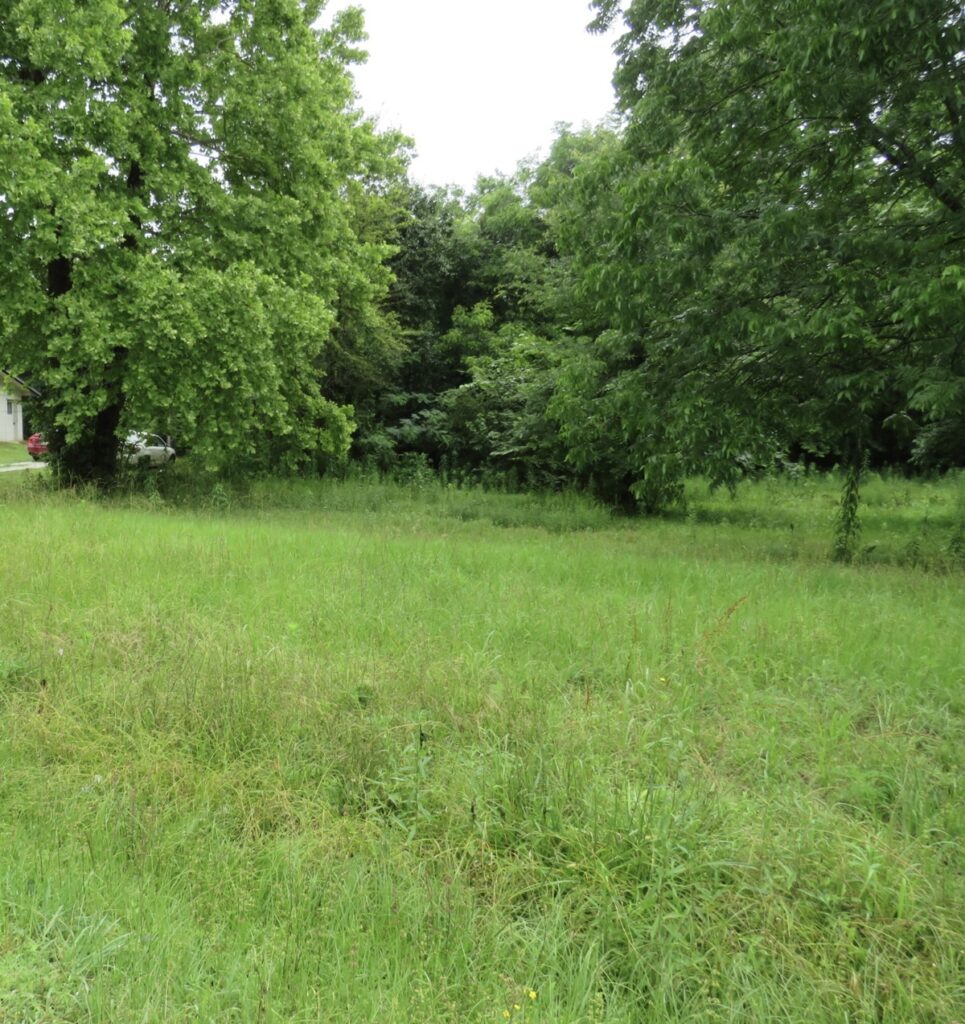 Property photo for land for sale in Bowie County Texas
