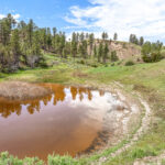 Property photo for land for sale in Petroleum County Montana