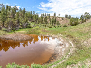 Property photo for land for sale in Petroleum County Montana