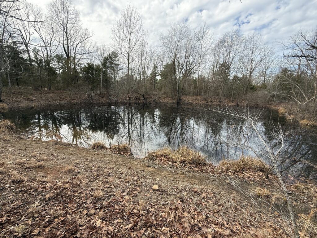 Property photo for land for sale in Searcy County Arkansas