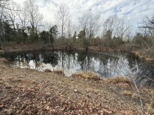 Property photo for land for sale in Searcy County Arkansas