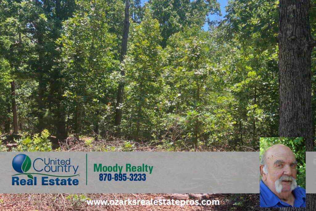 Property photo for land for sale in Fulton County Arkansas