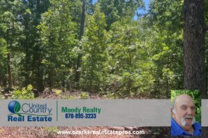 Property photo for land for sale in Fulton County Arkansas