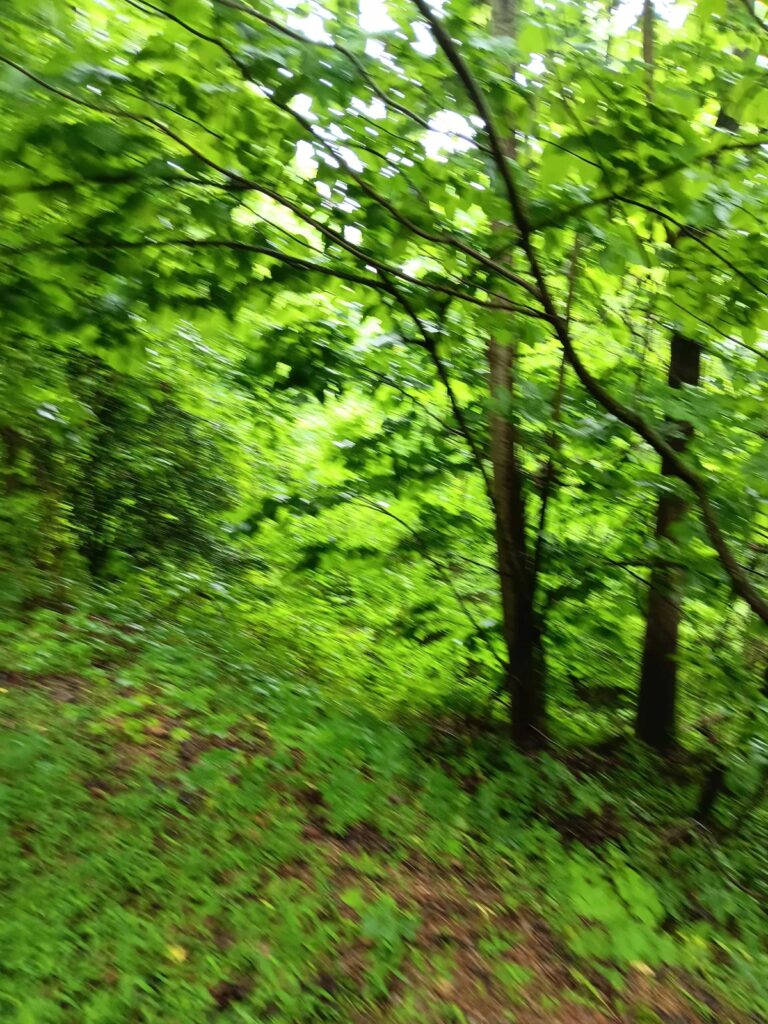 79ac93fe-8417-49c2-a7e2-e09738293f4c.jpg