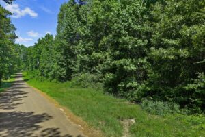 Property photo for land for sale in Panola County Texas