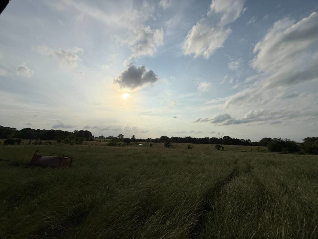 7a5e9dc3-fa90-4445-a08b-dc11edec3aac.jpg