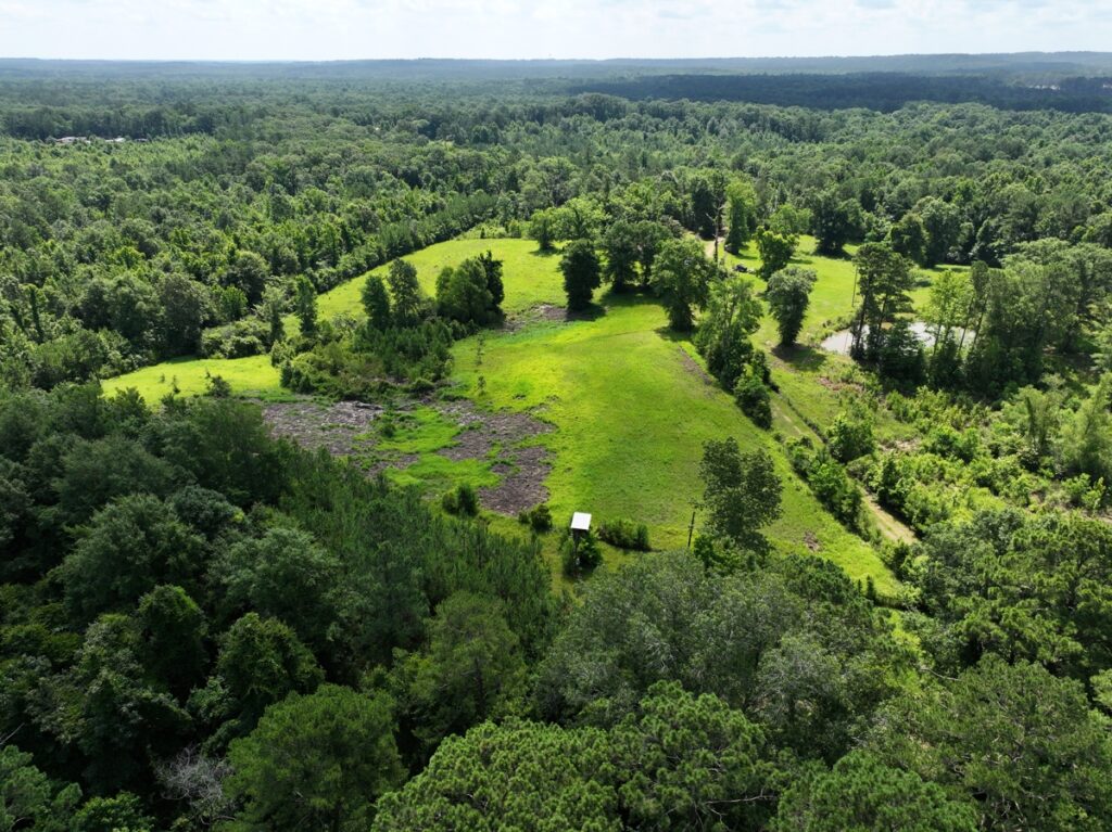 Property photo for land for sale in Lawrence County Mississippi