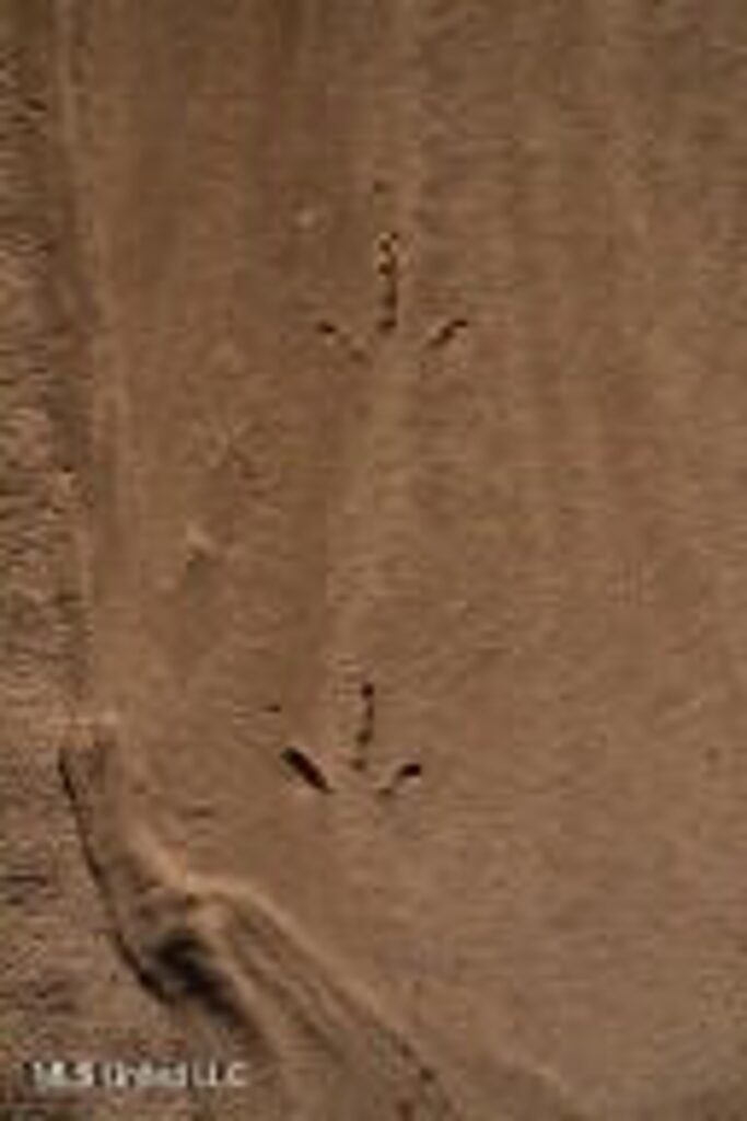 7ca6d563-0437-4b38-b9b9-45d3da4b3068.jpg