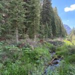 Property photo for land for sale in Ouray County Colorado