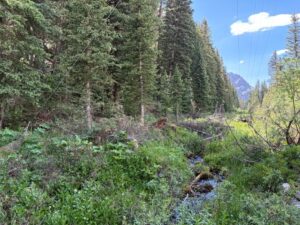 Property photo for land for sale in Ouray County Colorado