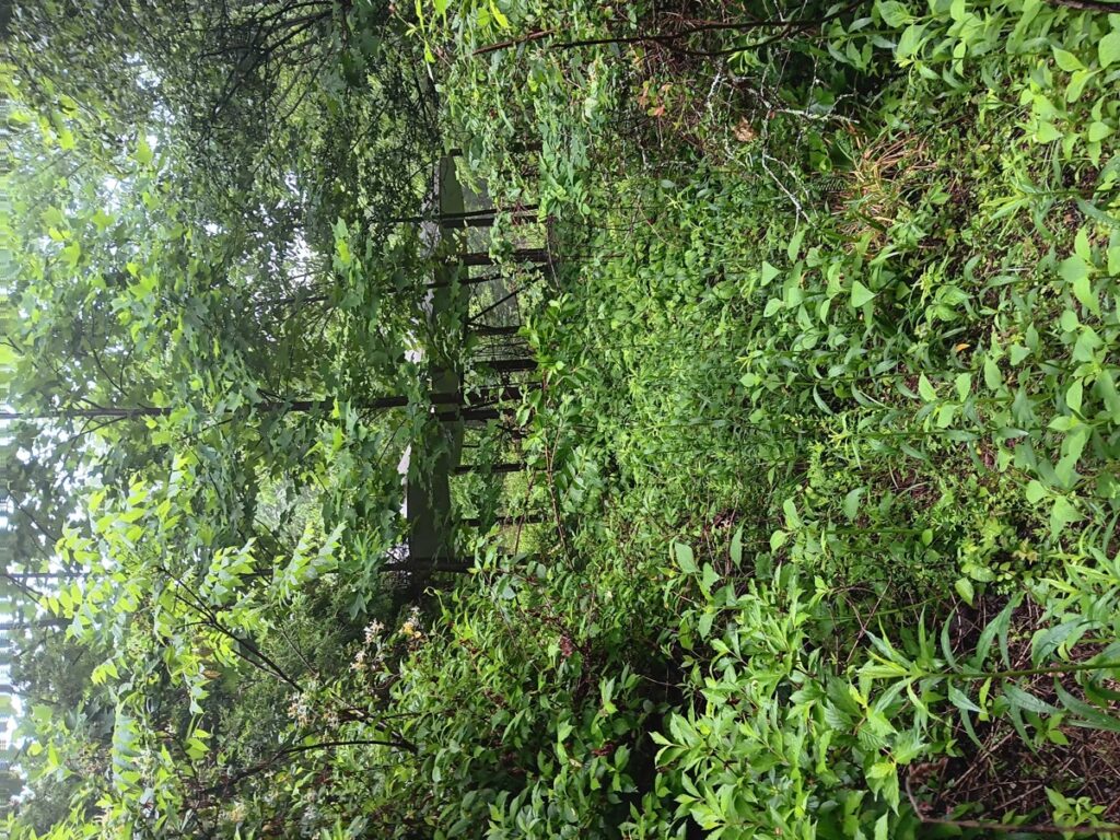 7d41c77f-410b-4123-95af-abb8f3443b70.jpg