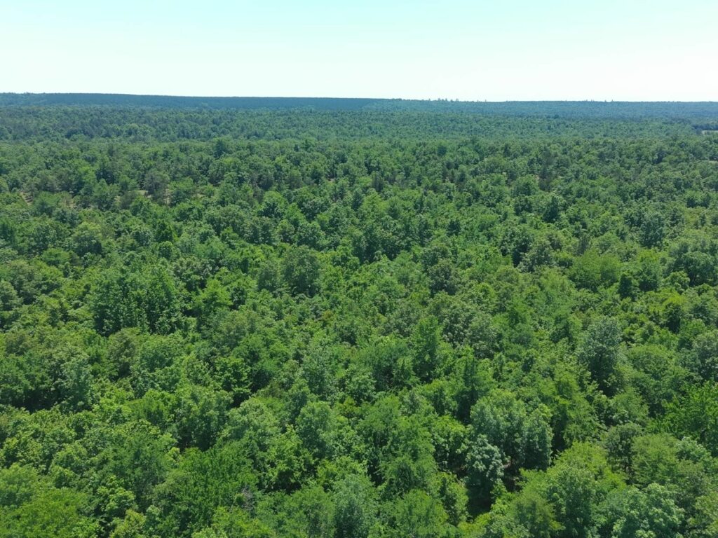 7e299065-4f3f-4278-9c08-e32b54f60259.jpg