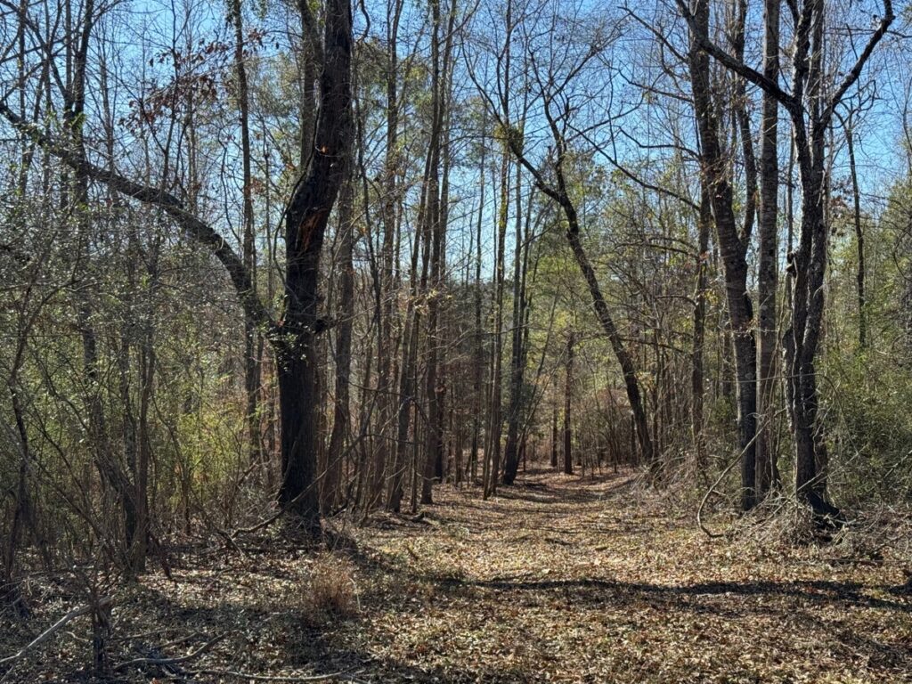 Property photo for land for sale in Hale County Alabama