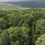 Property photo for land for sale in Latimer County Oklahoma