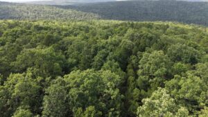 Property photo for land for sale in Latimer County Oklahoma