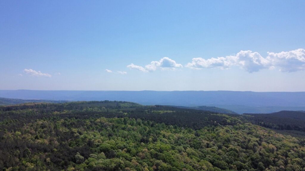 Property photo for land for sale in Bledsoe County Tennessee