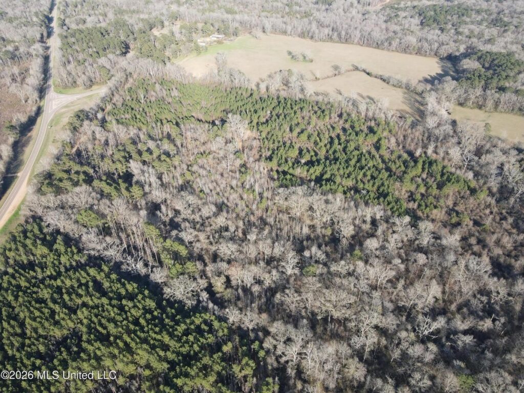 Property photo for land for sale in Copiah County Mississippi