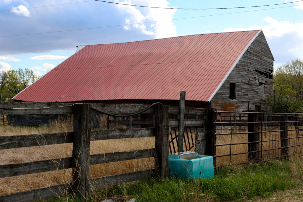 82ea3669-4190-4ade-ab63-4ed435173bee.jpg