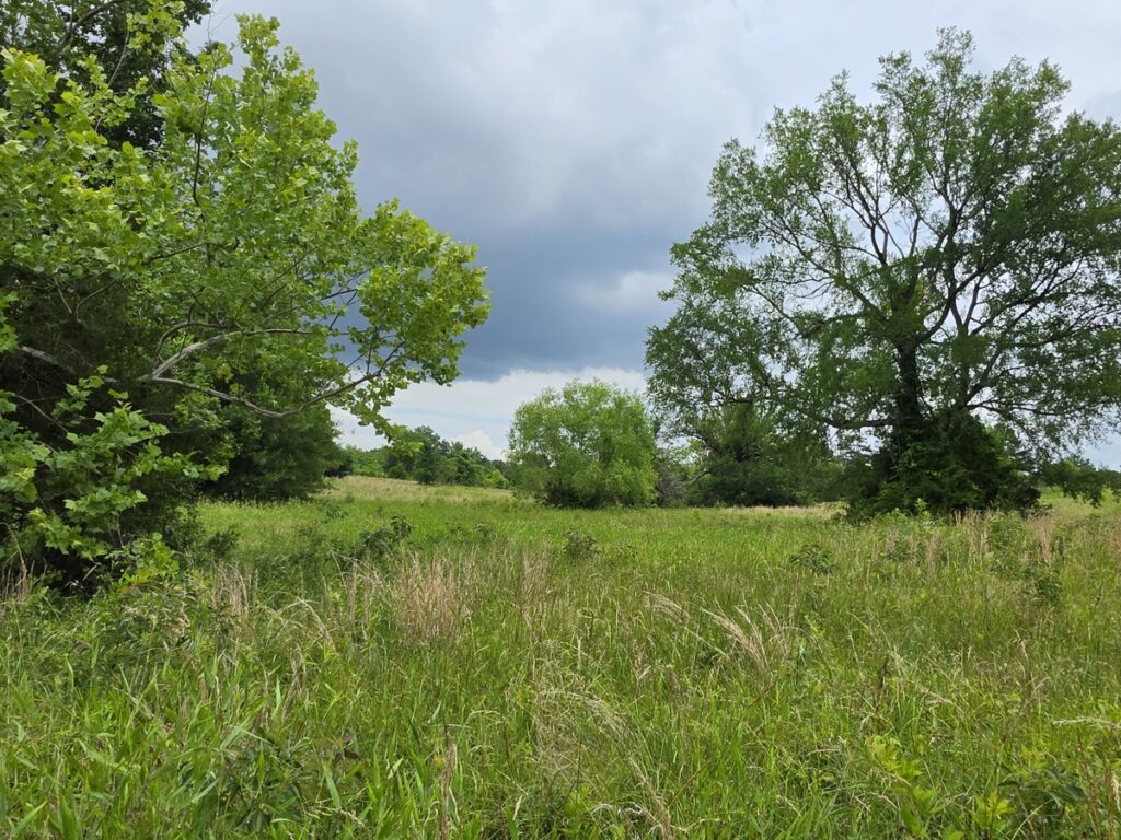 Property photo for land for sale in Le Flore County Oklahoma