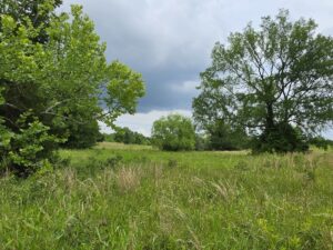 Property photo for land for sale in Le Flore County Oklahoma