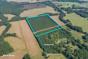 Property photo for land for sale in Tishomingo County Mississippi