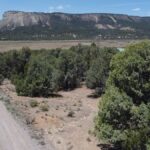Property photo for land for sale in Rio Arriba County New Mexico