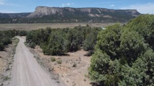 Property photo for land for sale in Rio Arriba County New Mexico