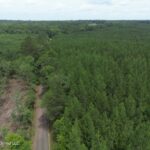 Property photo for land for sale in Pike County Mississippi