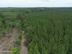 Property photo for land for sale in Pike County Mississippi