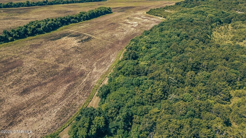 888b06f3-3924-47e3-8ec7-f41ac8ea7a40.jpg