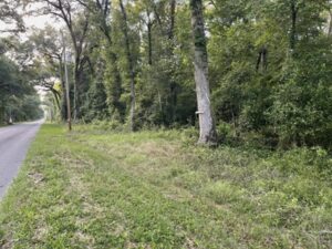 Property photo for land for sale in Columbia County Florida