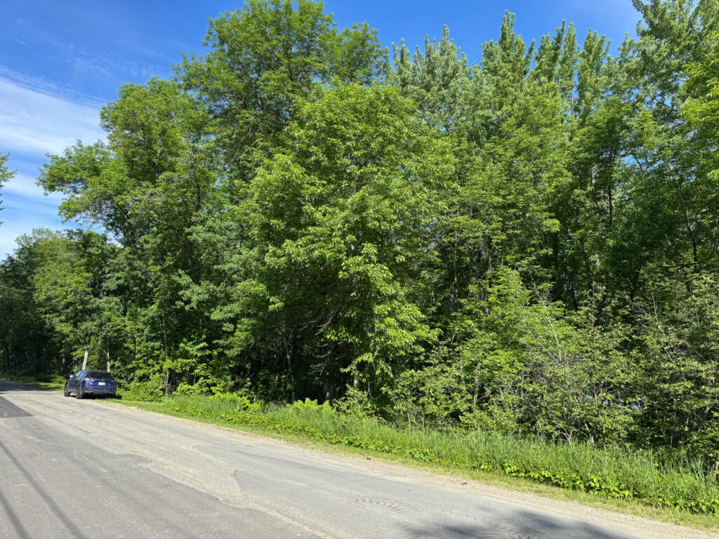 89421e90-cb42-4e51-b533-6636b5edb783.jpg