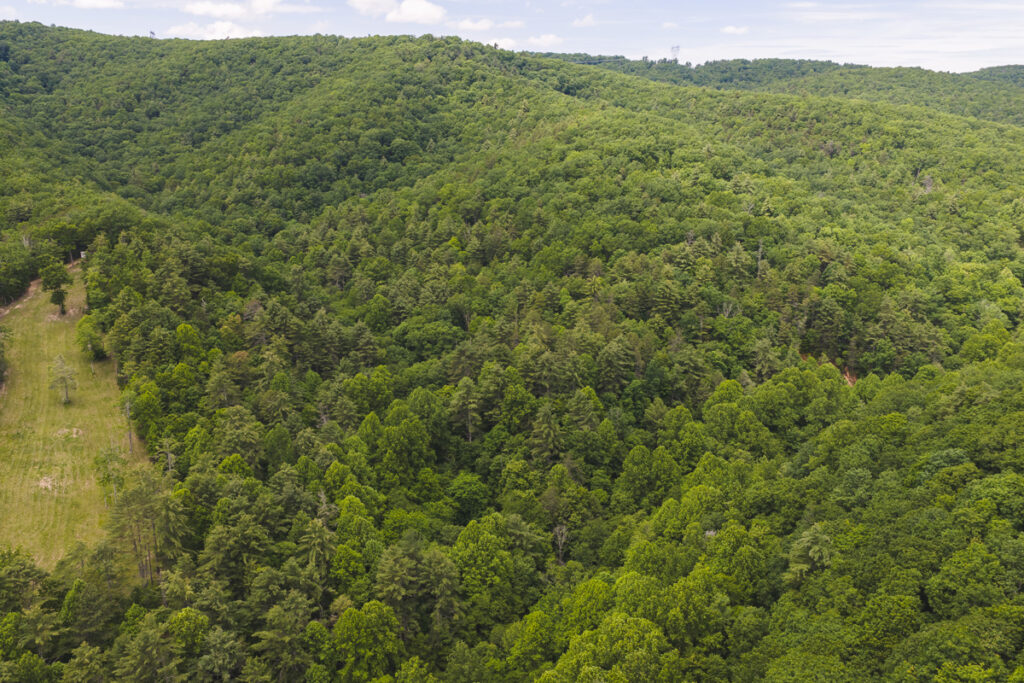 Property photo for land for sale in Floyd County Virginia