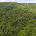 Property photo for land for sale in Floyd County Virginia