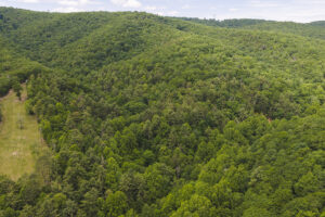 Property photo for land for sale in Floyd County Virginia
