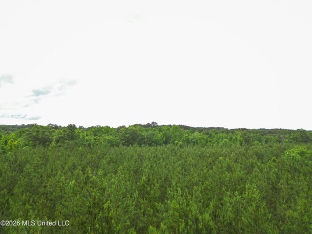 8af0f28b-f718-485d-8c01-ceedd985d0dc.jpg