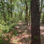 Property photo for land for sale in Beaufort County South Carolina