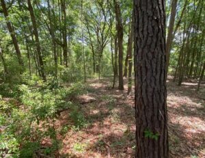 Property photo for land for sale in Beaufort County South Carolina