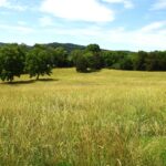 Property photo for land for sale in Cumberland County Kentucky