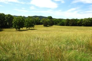 Property photo for land for sale in Cumberland County Kentucky