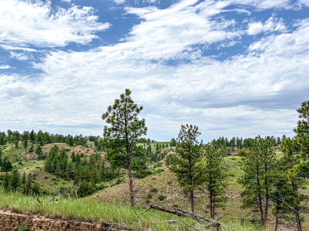 8e051887-63db-4290-8c93-2b7be63ab0ed.jpg