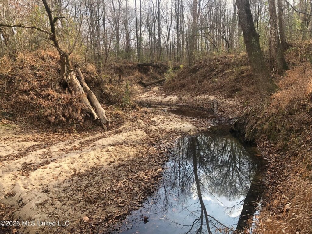 Property photo for land for sale in Hinds County Mississippi