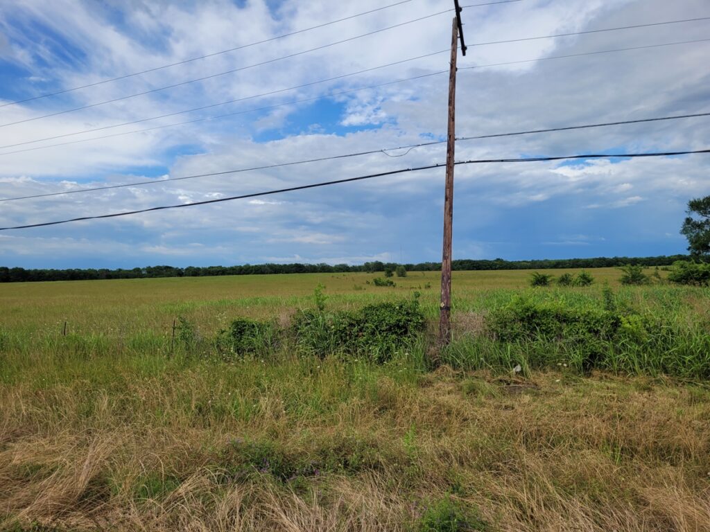 8e9ee315-854e-4f27-ad6c-5d1edab611bb.jpg