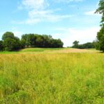 Property photo for land for sale in Cumberland County Kentucky