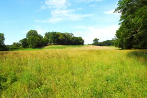 Property photo for land for sale in Cumberland County Kentucky