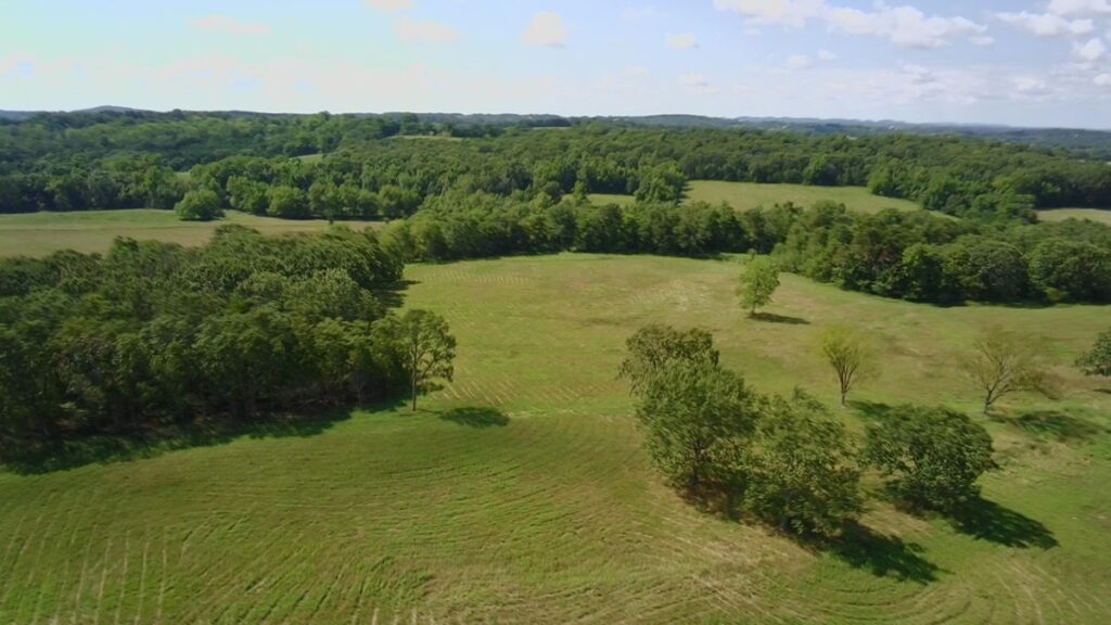 Property photo for land for sale in Douglas County Missouri